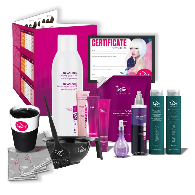 ING PROFESSIONAL ADVANCED