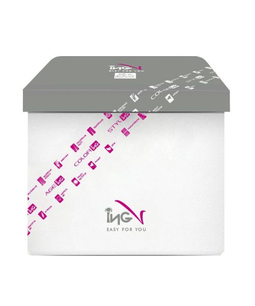 Базовий набір для майстрів акційний ING Silver Box Professional