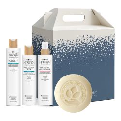 Набір для надання об'єму тонкому та ламкому волоссю без силіконів Hair Company Inimitable Style Creative Inspiration Density Hair Kit