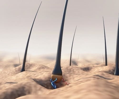 Как работают современные лосьоны активаторы