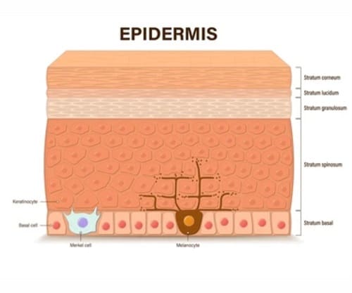 Чому не всі креми працюють