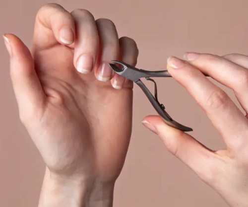 Почему кутикула становится чувствительной