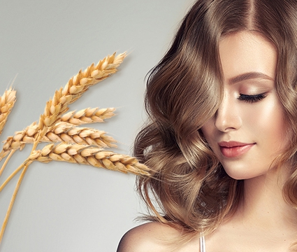 Протеїн пшеничний — супергерой для пошкодженого волосся